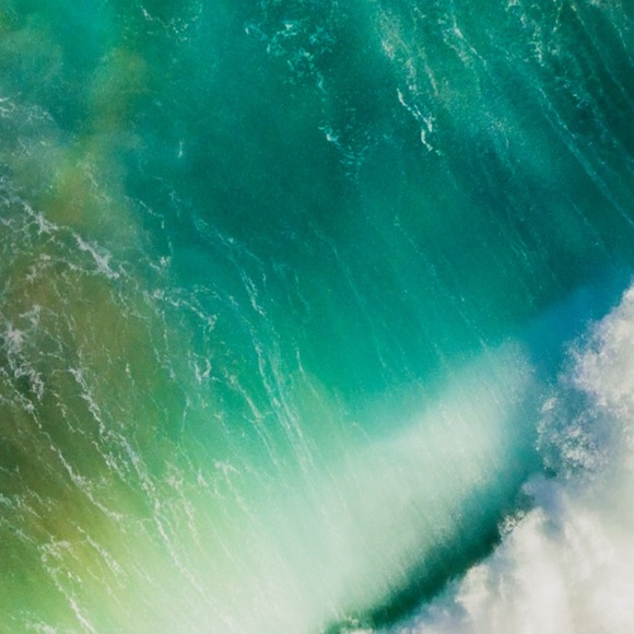 Meet your Posher, Reta - Picture 1 of 1